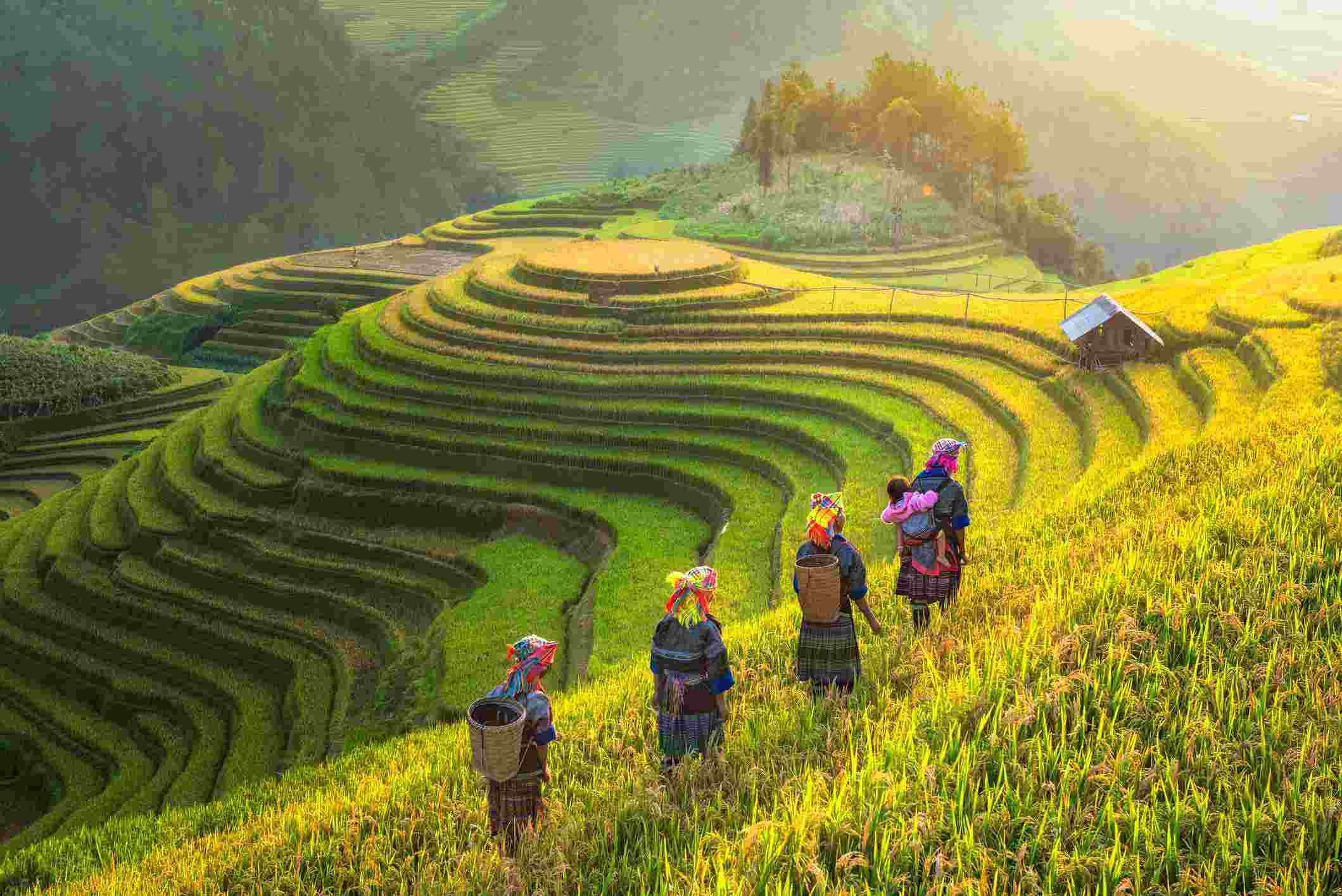 Việt Nam vượt qua nhiều quốc gia nằm trong TOP 5 quốc gia tốt nhất cho người nước ngoài 2025