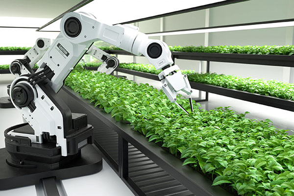 Tương lai ngành khách sạn với sự trợ giúp của robot AI trong kiểm tra thực phẩm